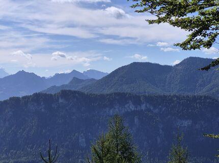 Foto von Reise5 Koenigin entlang der Tour