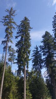 Foto de Oliver Gotthardt a lo largo del recorrido