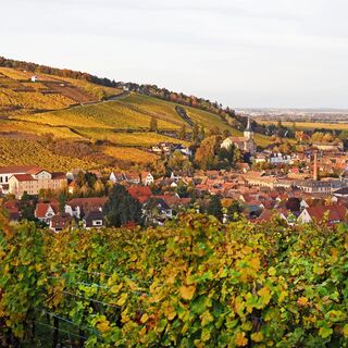 Barr