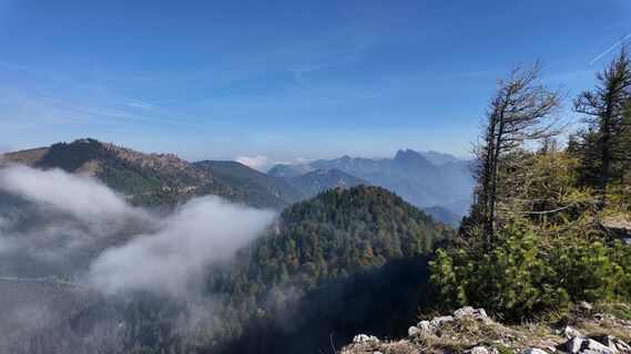 Fotografija s spletne strani ReginaSt na poti