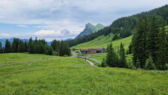 Fotografie z Gerrit van der Linde na trase
