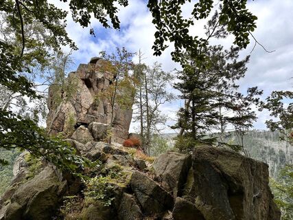 Photo de Dr. Rike Maurer le long du parcours