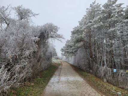 Photo de mmecki le long du parcours