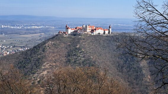 Fotografija s spletne strani Frau Gramurli na poti