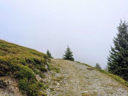 Photo de Sabrina Hackel le long du parcours