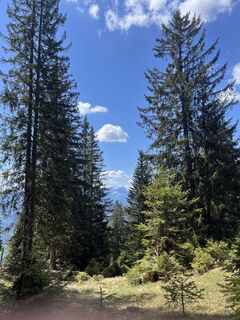 Foto von Oliver Umgeher 1 entlang der Tour
