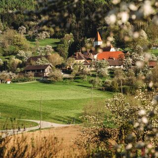 Granitztal - Granitztaler Blütenwanderung