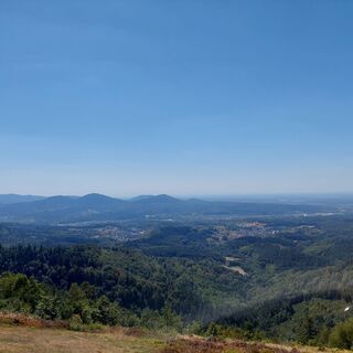 Ausblick bis zur Rheinebene