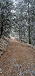 Photo de Sandy le long du parcours