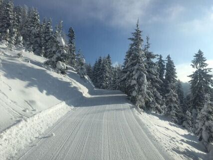 Weg in Richtung Bürglalm
