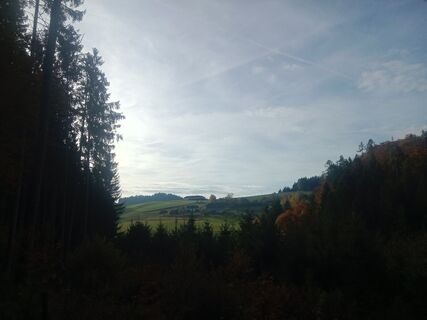 Photo de Monika Korsitzke le long du parcours