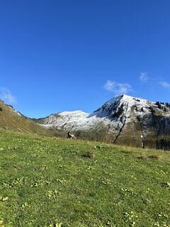 Foto da Josef Wohlgenannt lungo il tour