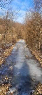 Foto de George50 a lo largo del recorrido