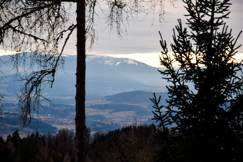Fotografia z Adnan Lipovic na trase