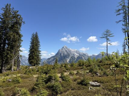 Fotografie z Michael Strimitzer na trase