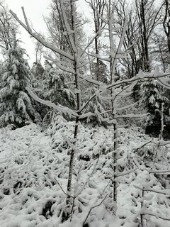 Foto von slawzak entlang der Tour