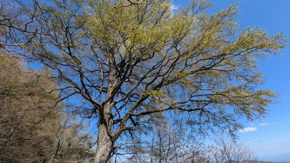 Photo de Richard Schwald le long du parcours