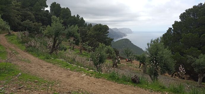 Foto von Markus entlang der Tour