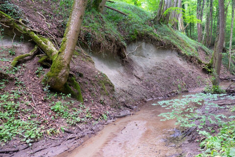 Klingenbachschlucht