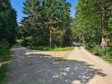 Wieder zurück zum Parkplatz Gretlhütte über die Brücke