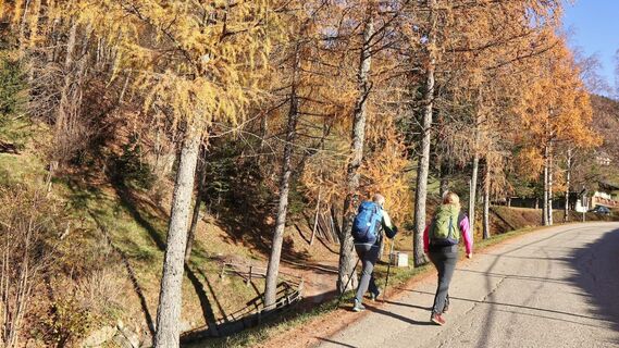 Die Wanderung beginnt mit einer Asphaltstraße