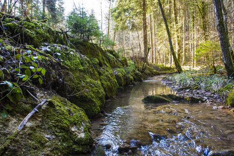 Mildersbachtalrundweg