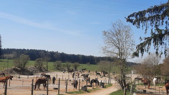 Zdjęcie z Enkidu55 wzdłuż trasy