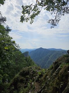 Fotografia z Whitney Dreams na trase