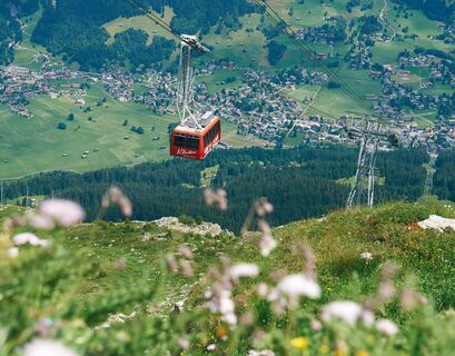 Hinauf mit der Gotschnabahn