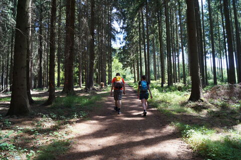 Bergischer Weg bei Bröl
