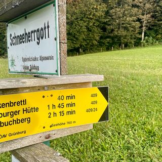 Kruckenbrettl - Trail