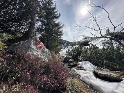 Fotografia z Dani Geiger / Natur_erleben_dg na trase