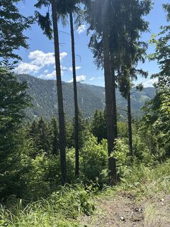 Foto von Mandy Friedrich entlang der Tour