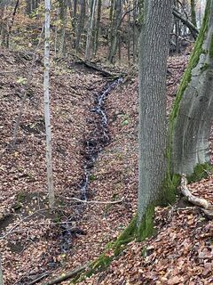 Foto von Ingo Kranz entlang der Tour