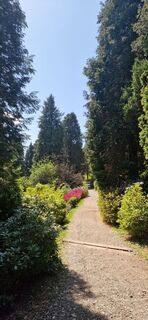 Fotografie z Schwendenerjeanette na trase