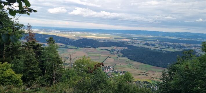Foto da Mario Libardi lungo il tour