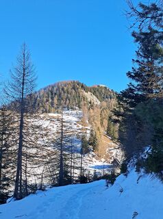 Fotografija s spletne strani Daniela König 1 na poti