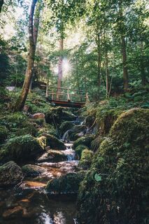 Lauterbach Wasserfall