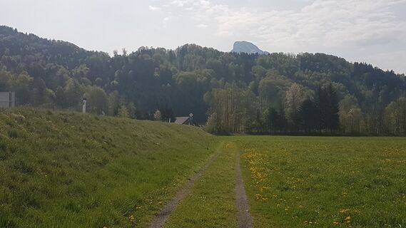 0.2 km Schafberg schaut hervor