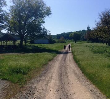 Route aus der Verschachtelung