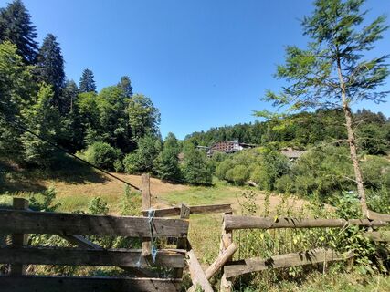 Natur pur im Kapfenhardter Tal