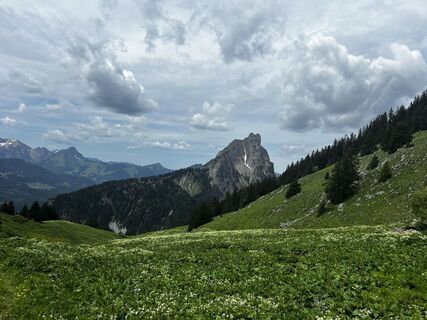 Foto von Dominique BERTHET entlang der Tour