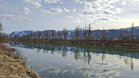 Foto von Mangolein entlang der Tour