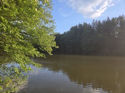 Foto von Birgit Zückert entlang der Tour