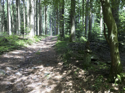 Zemljevid