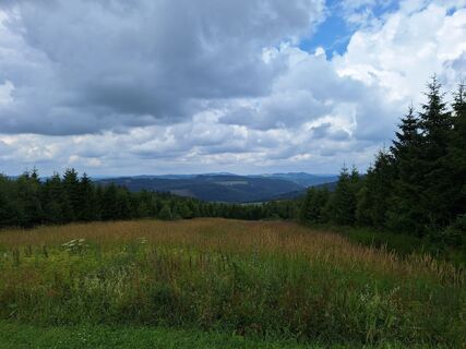 Fotografie z Pepijn ter Bals na trase