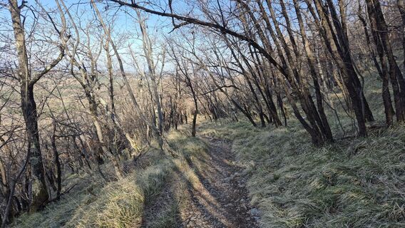 Фото с сайта Fabrizio Plesnizer во время экскурсии