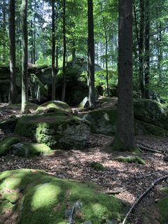 Foto von Jan Greinecker 1 entlang der Tour
