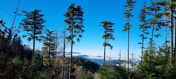 Foto von Gabi G entlang der Tour