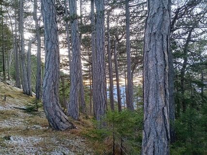 Zdjęcie z Karin Wessely wzdłuż trasy